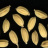 JP 6766 (Seed)