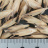 JP 75378 (Seed)