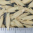 JP 75379 (Seed)
