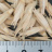 JP 75381 (Seed)