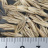 JP 75747 (Seed)