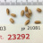 JP 21081 (Seed)