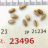 JP 21234 (Seed)