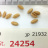 JP 21932 (Seed)