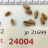 JP 21699 (Seed)