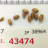 JP 38964 (Seed)