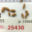 JP 23069 (Seed)
