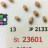JP 21333 (Seed)