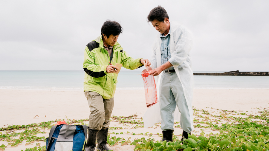 豆類遺伝資源の探索風景