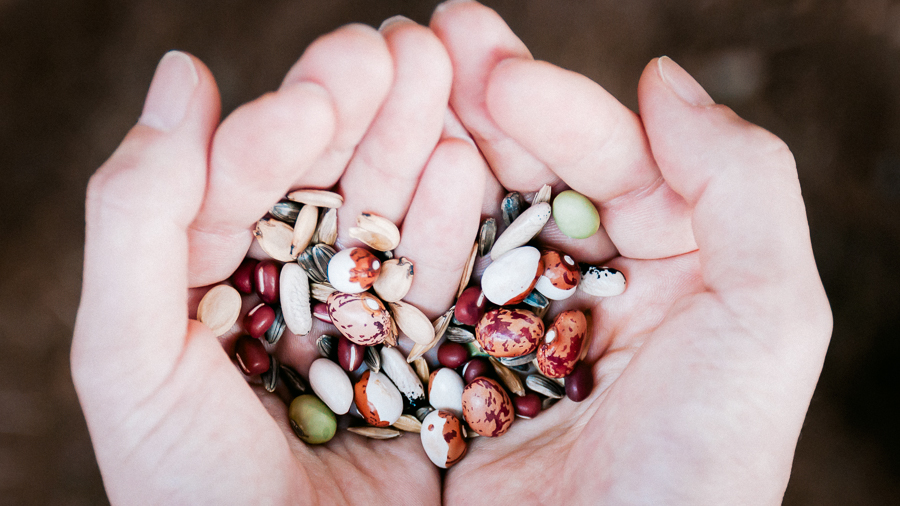 大切な遺伝資源